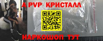 крисы Кунгур