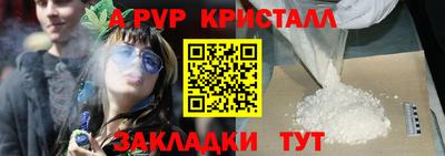 крисы Кунгур