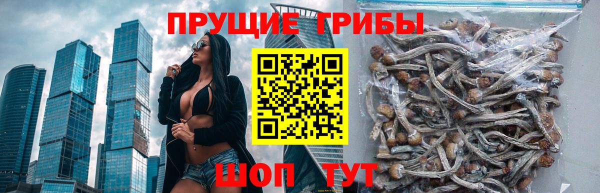 Ейск  Галлюциногенные грибы мицелий  Вход с VPN  Псилоцибиновые грибы мухоморы 